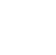 The Japanese American
Incarceration